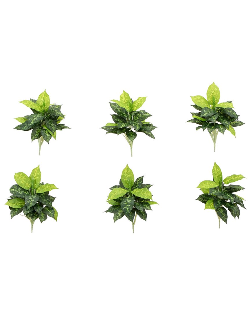 Set of 6 Artificial Dieffenbachia Plants