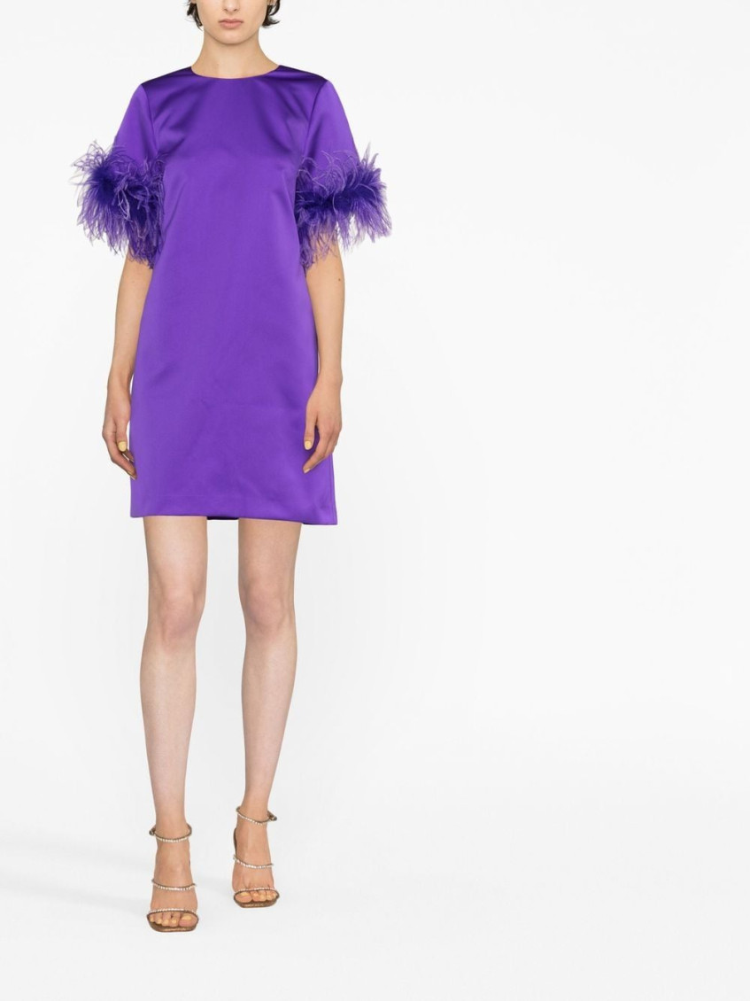 - Feathered Mini Dress