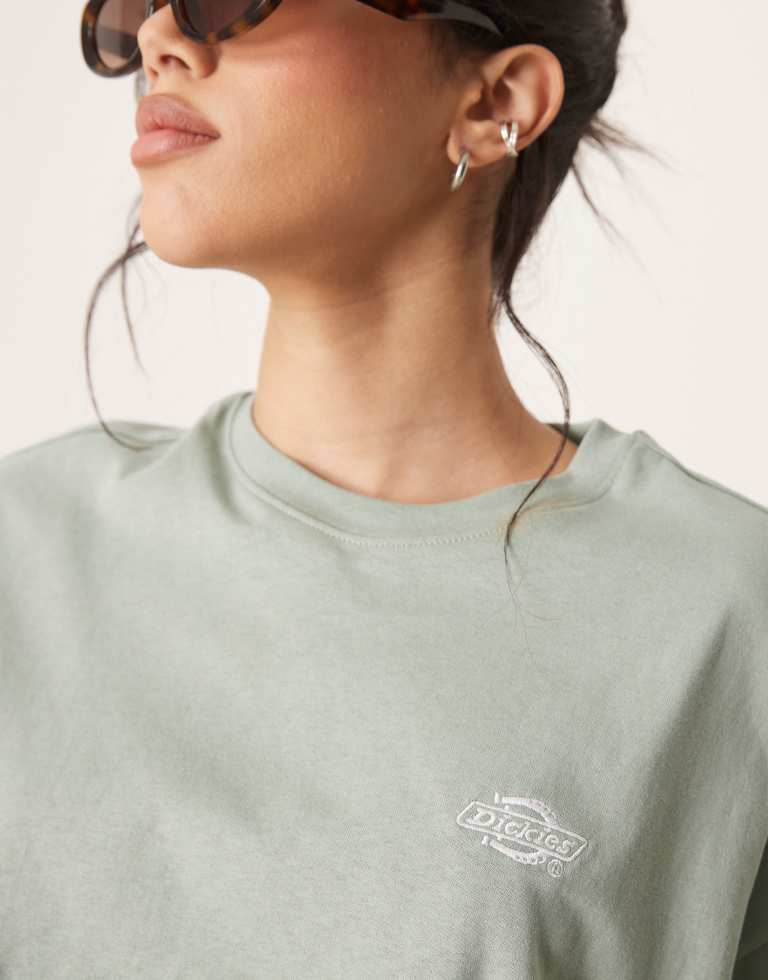 Dickies Womens summerdale oversized t-shirt in light green