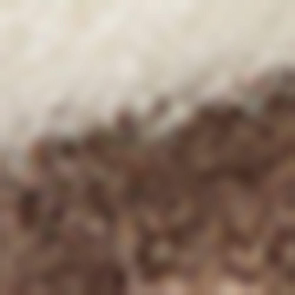 X Suna Fujita Otter Charm