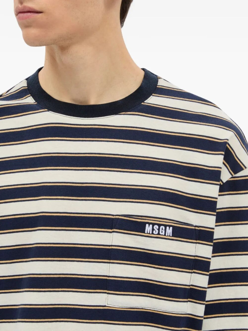 Blue Crew Neck Striped T-shirt