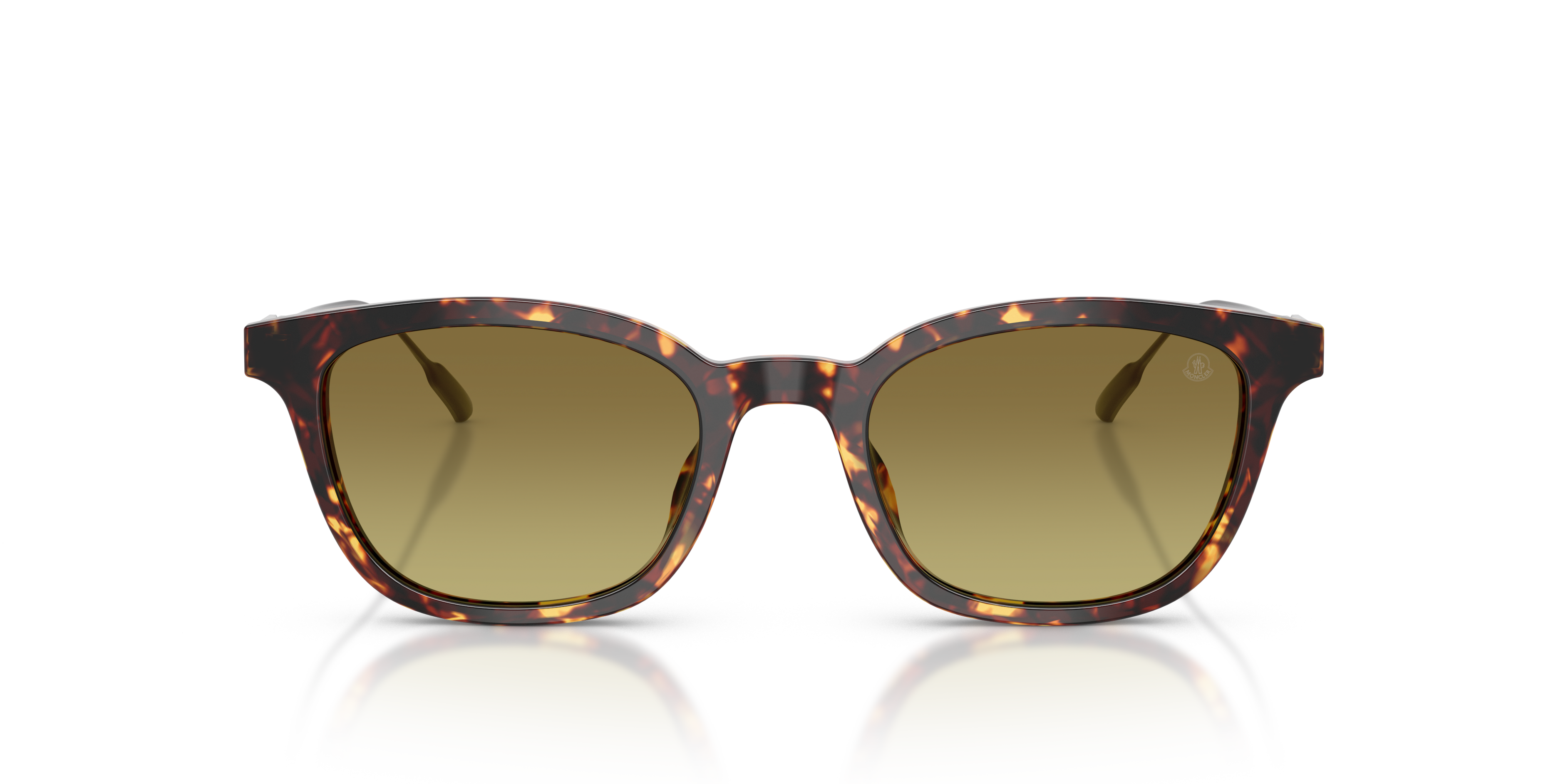 Moncler Unisex Moncler ME6027D LENTIS 30382A Gafas de sol Acetato Marrón Verde Pantos Normal Matizado