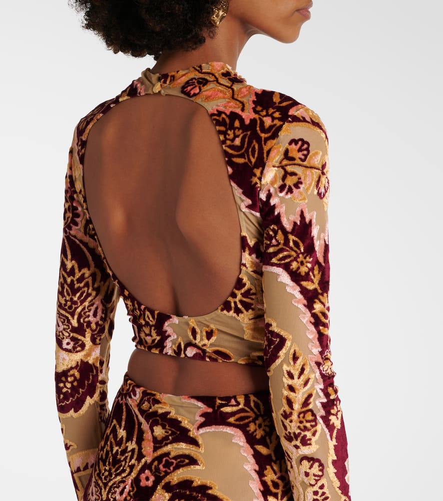 Paisley tulle and velvet jacquard crop top