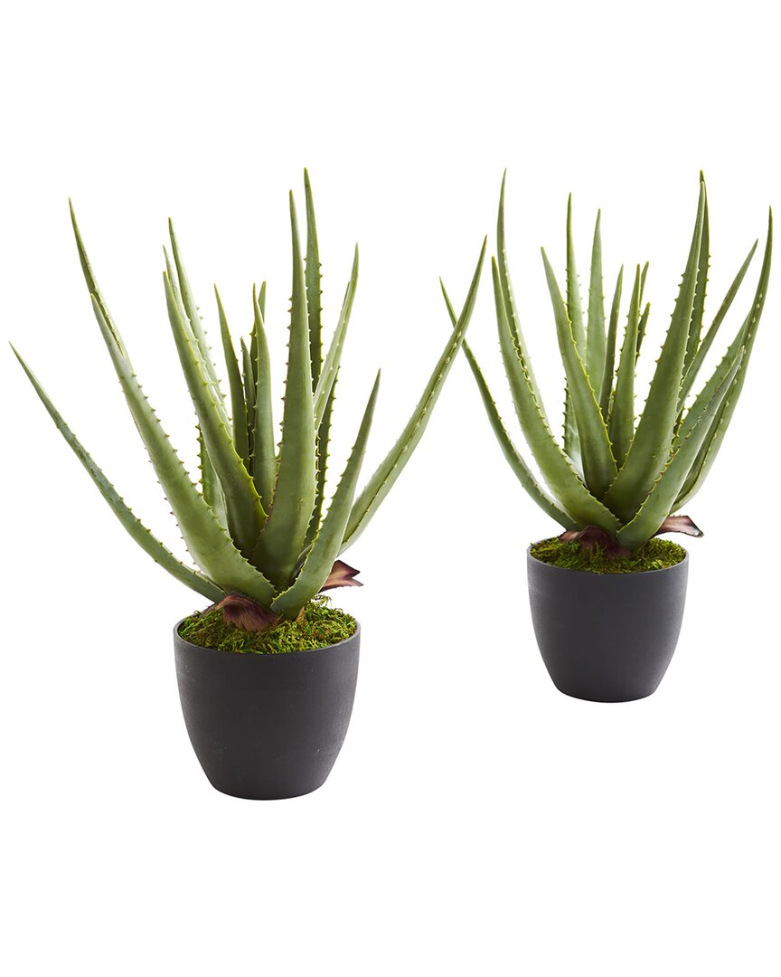 Set of 2 Aloe Artificial Plants