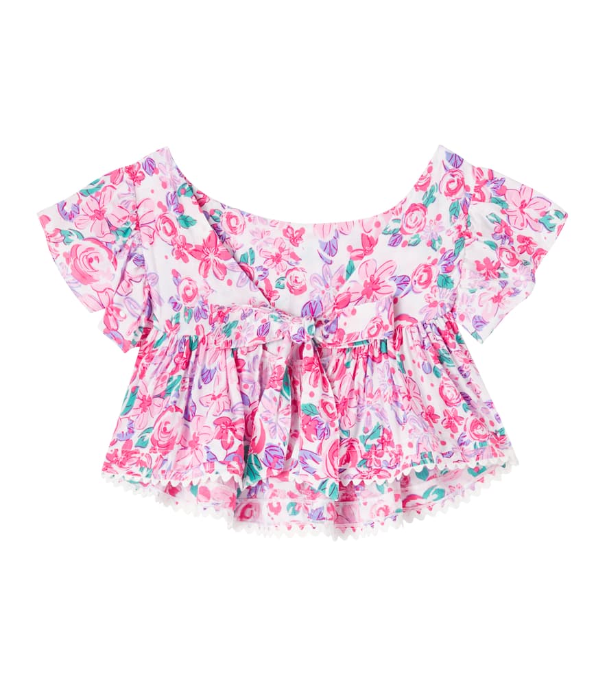 Cycas floral top