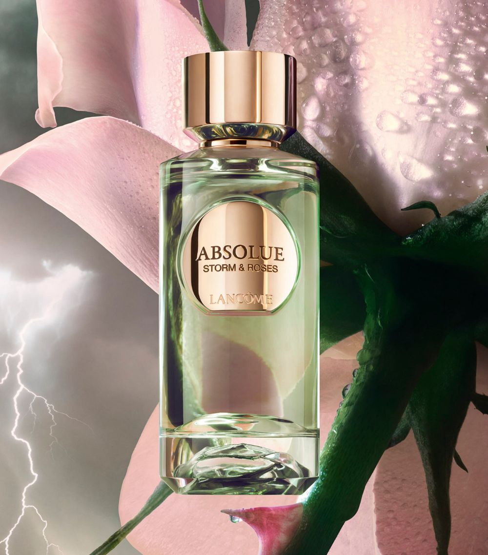 Absolue Storm & Roses Eau De Parfum (100Ml)