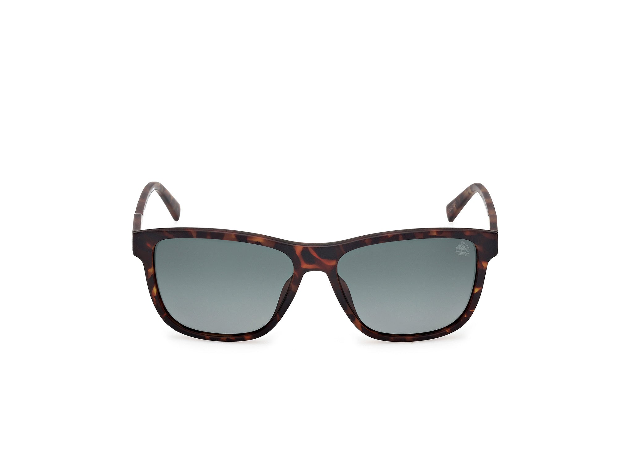 Timberland Hombre Timberland TB00052-H 52D Gafas de sol Inyectado la Habana Fumar Cuadrada Polarizado