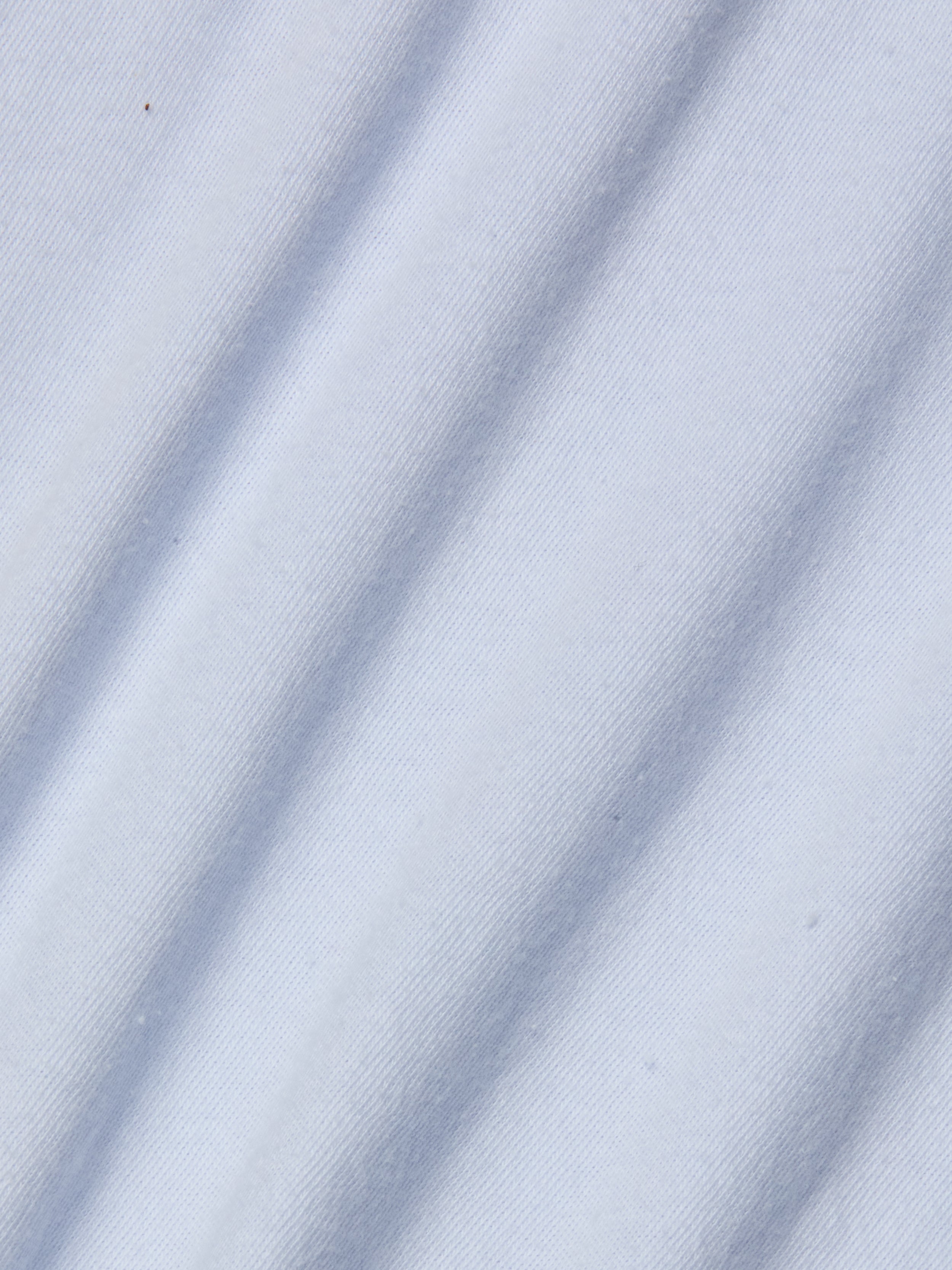 Stormy Cropped Cotton T-Shirt In Pale Mist Blue