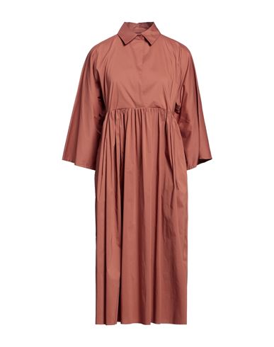 Liviana Conti Woman Midi dress Light brown Size 2 Cotton, Polyamide, Elastane