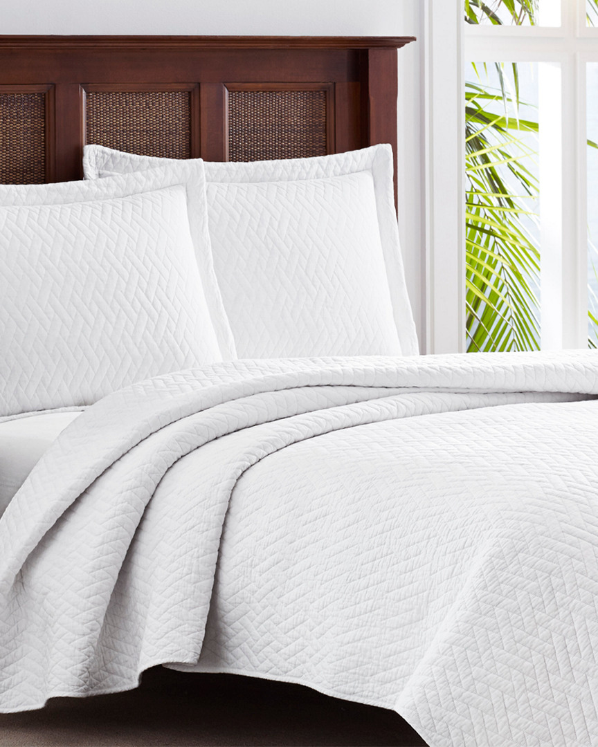 Solid Quilt Set