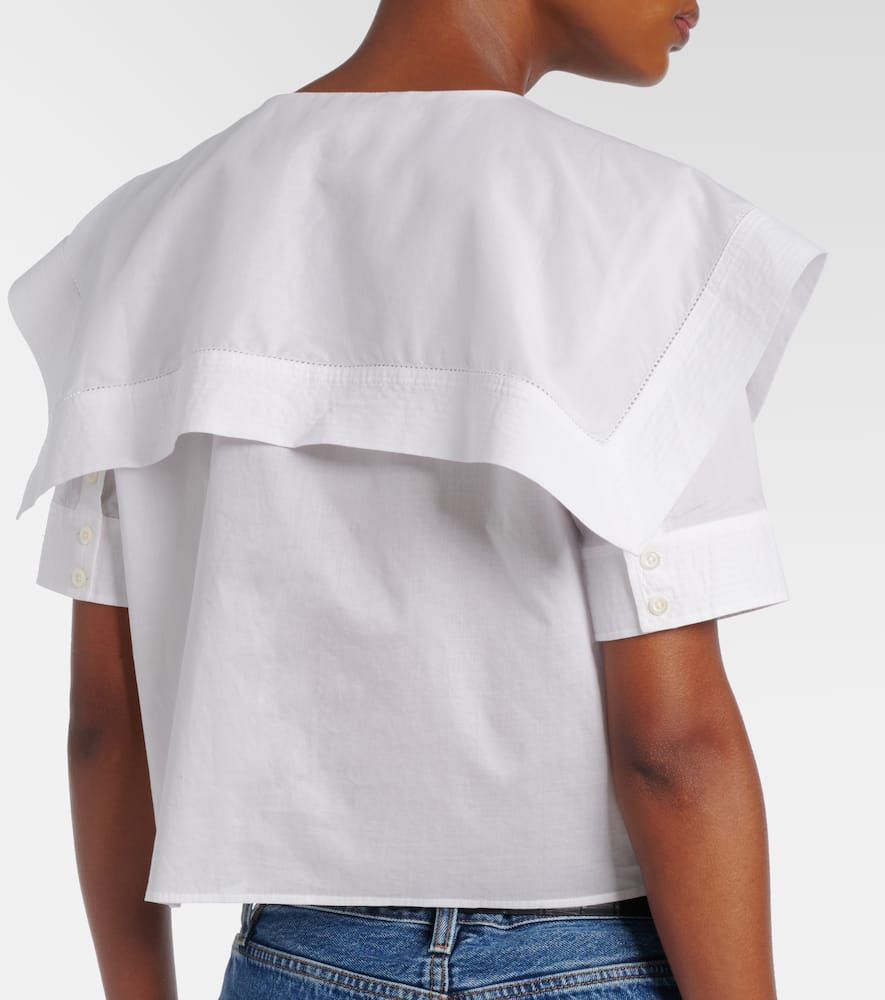 Cotton top