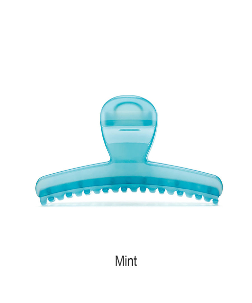 Tint Shell Claw Round Color Hair Clip