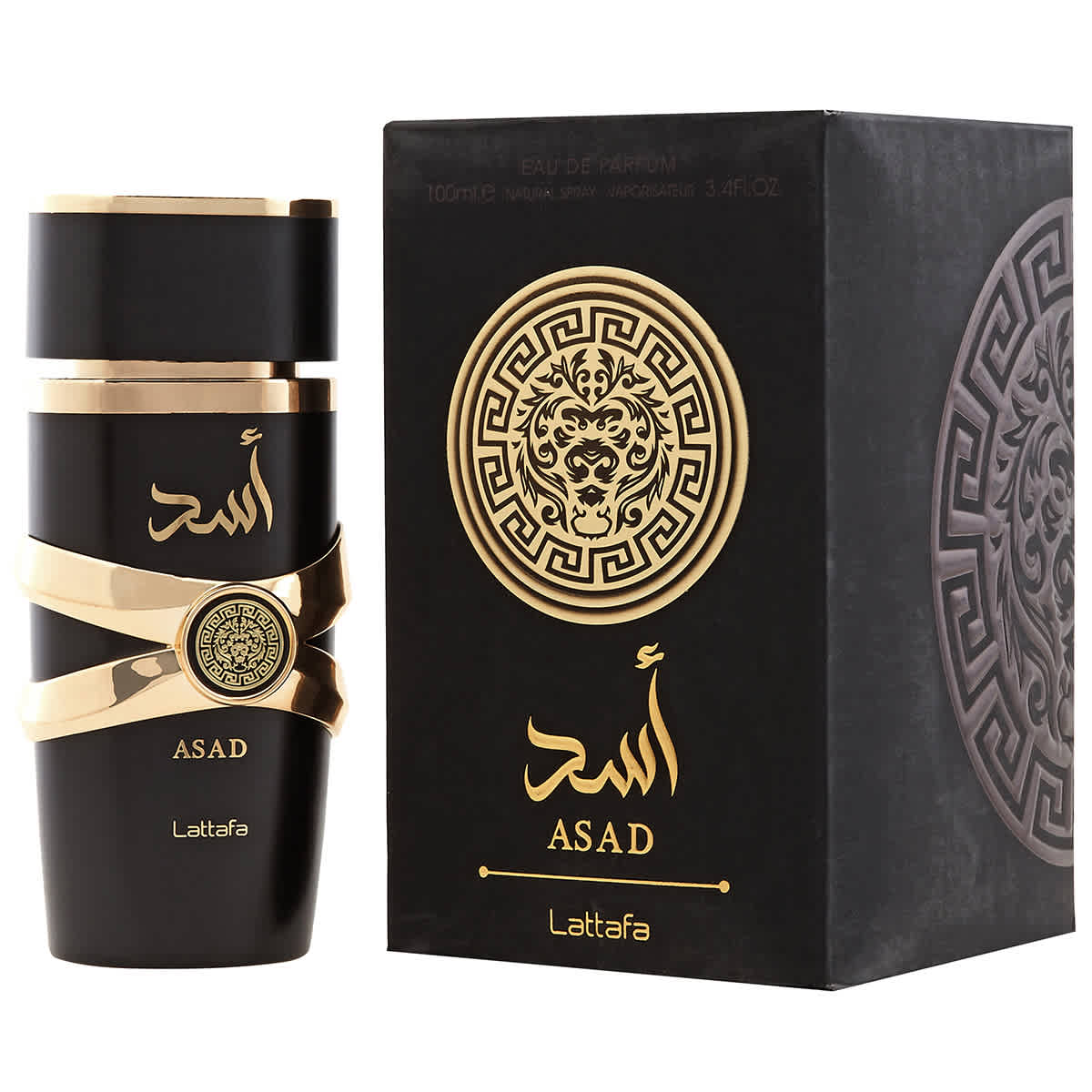 Mens Asad EDP Spray 3.4 oz Fragrances 6291108735411