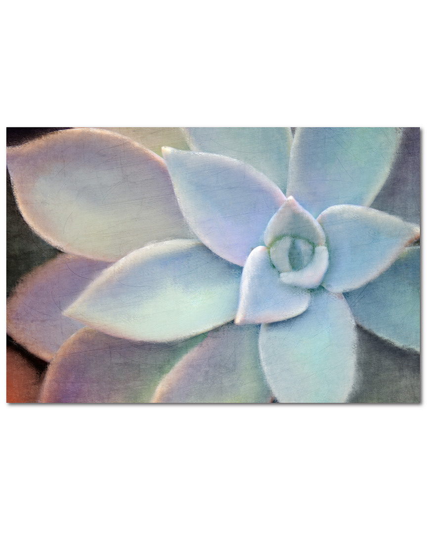 Wall Decor Succulent Softly Canvas Wall Art