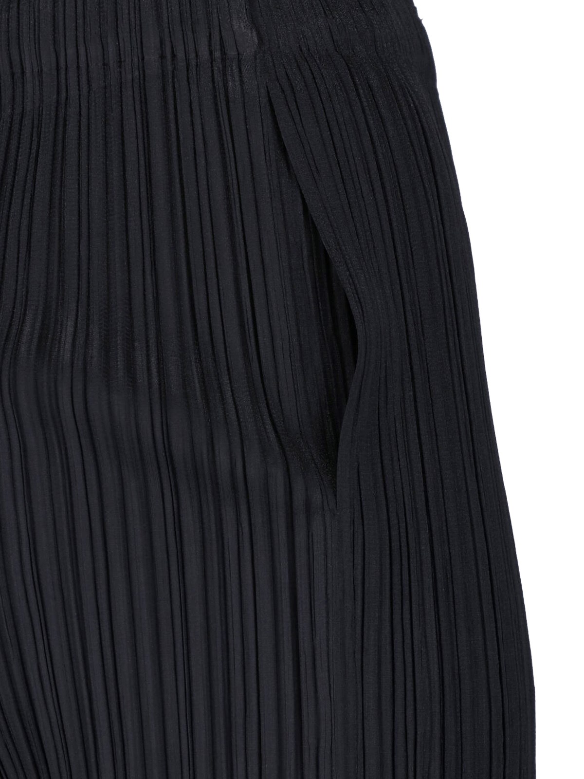 Pleated Pants