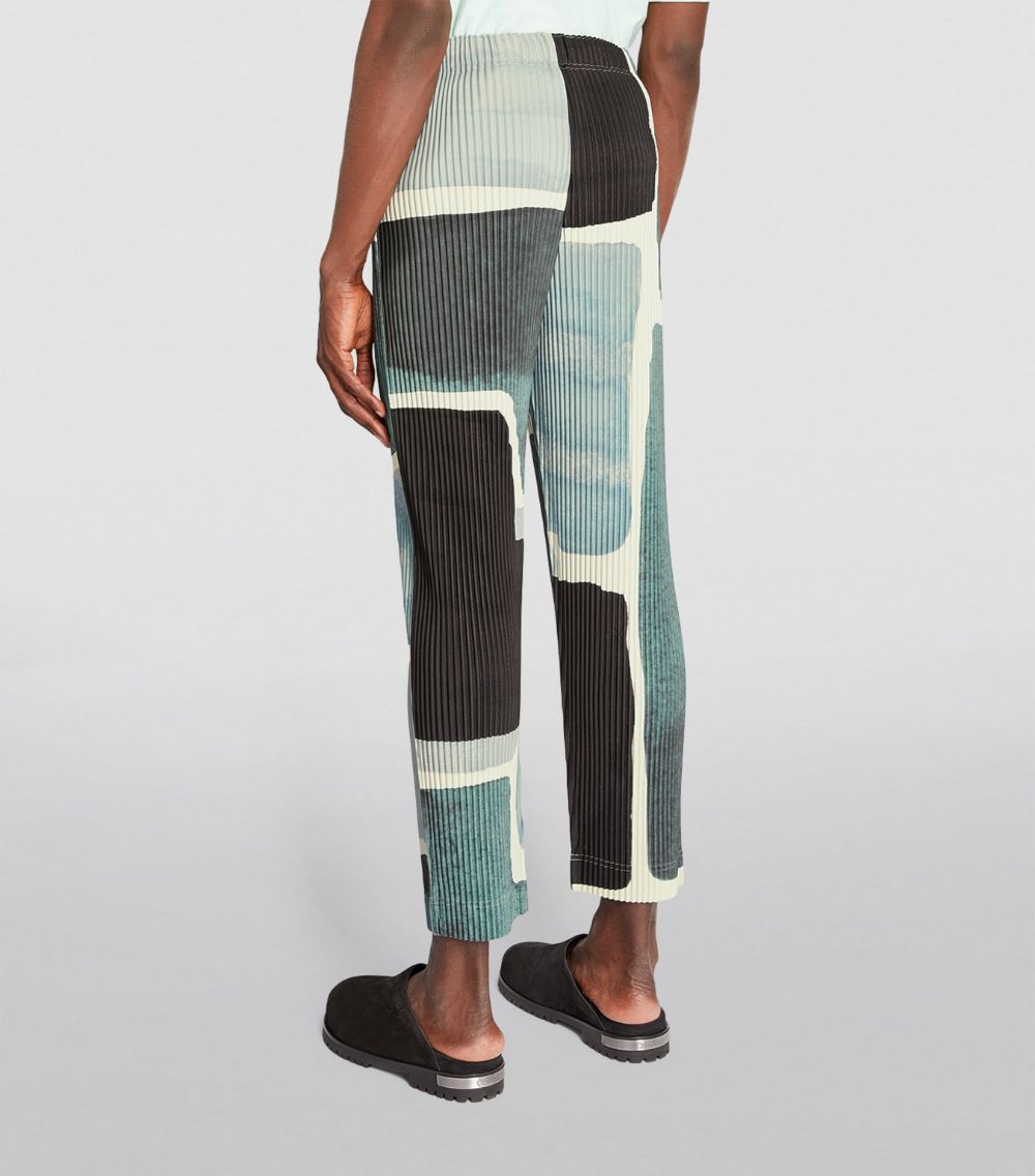 Landscape Print Pleated Trousers