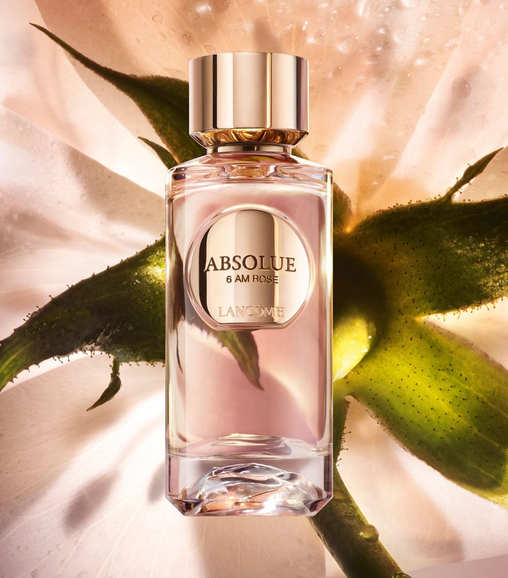Absolue 6Am Rose Eau De Parfum (100Ml)