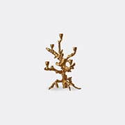 'apple Tree' Candle Holder, Large