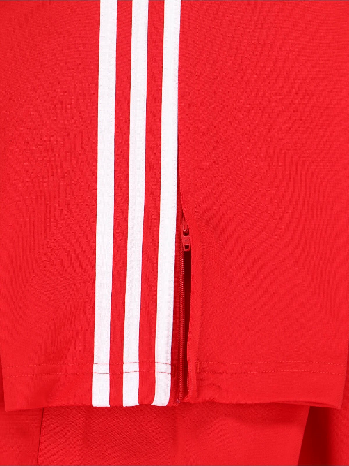 'Firebird' Track Pants