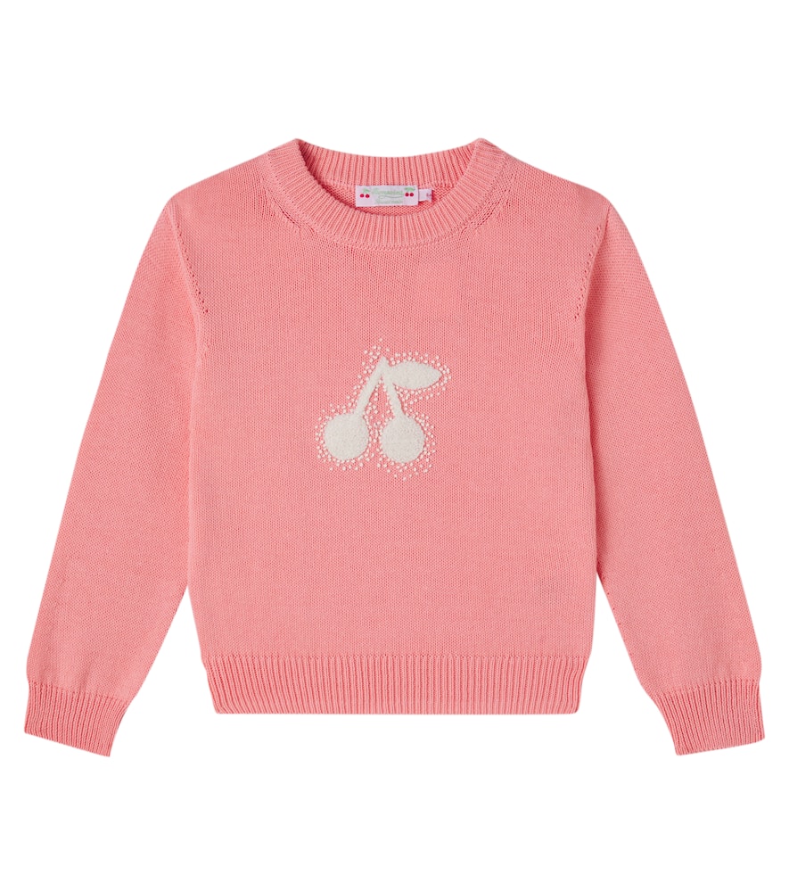 Liesel embroidered cotton sweater