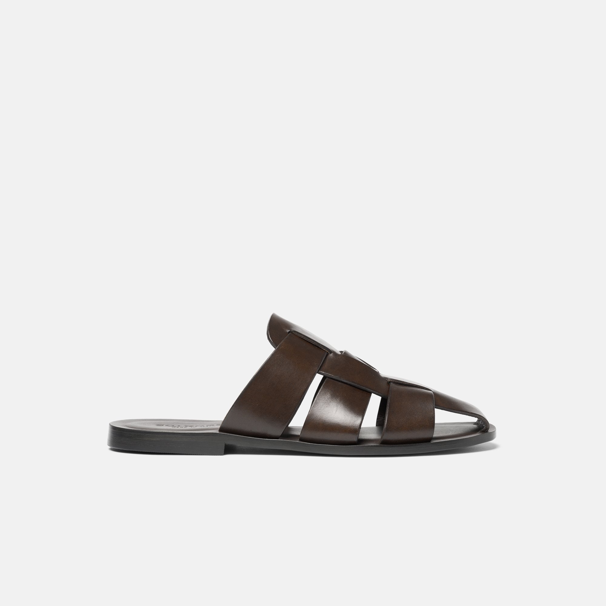 Perseo Brown