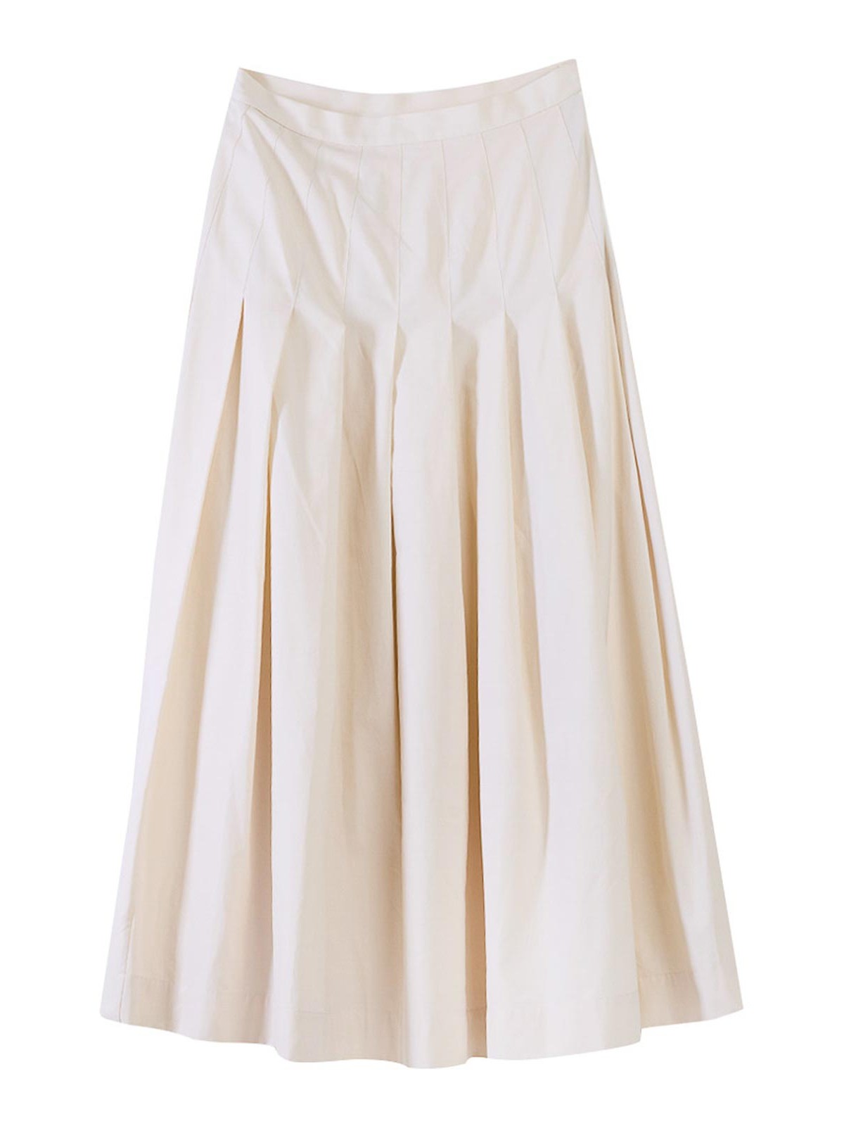 Long Pleated Skirt