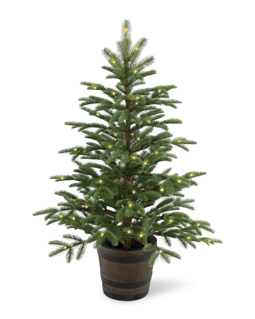 4Ft Feel-Real Norwegian Spruce Entrance Tree With 100 Clear Lights