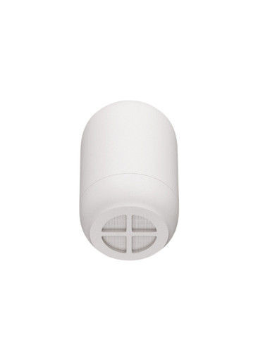 Rain Shower & Shower Filter Refil Capsule