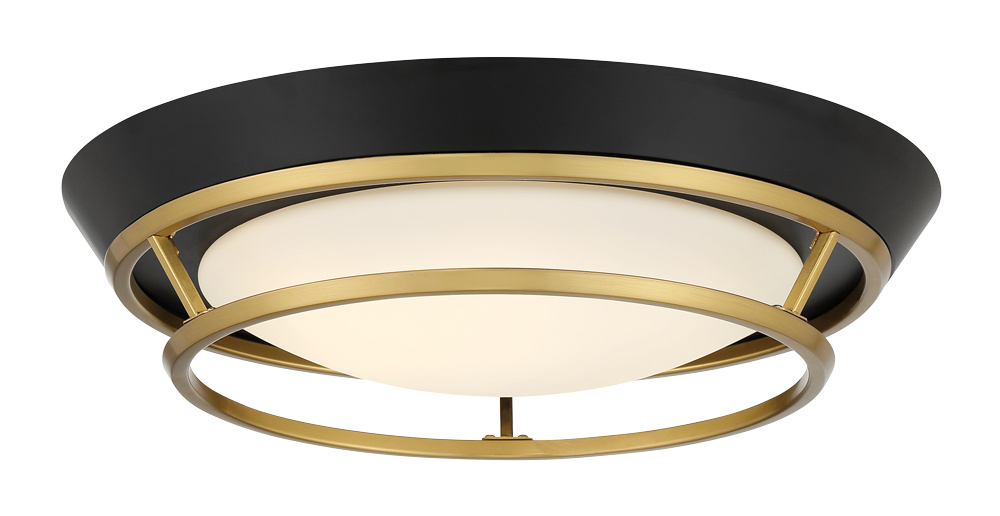 Coal And Satin Brass LED Flush Mount from the Beam Me Up Collection