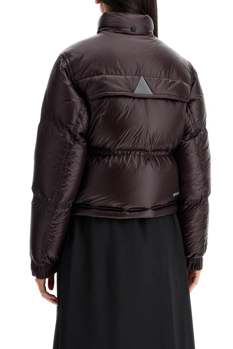 Down Jackets
