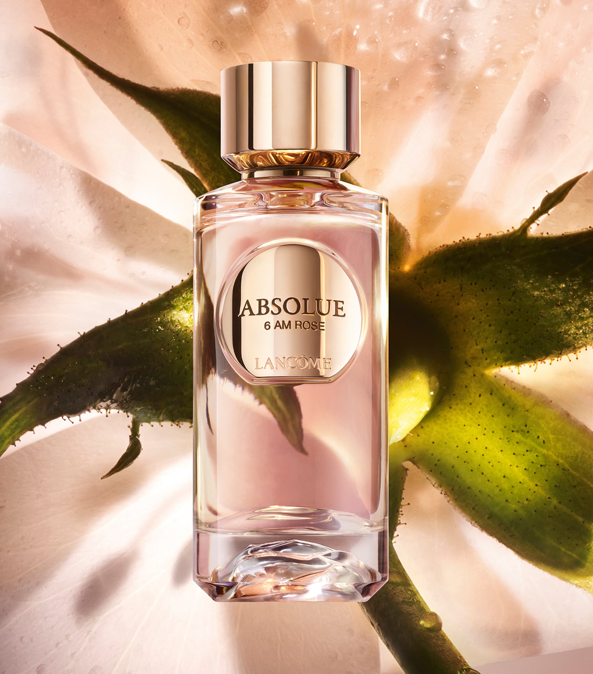 Absolue 6AM Rose Eau de Parfum