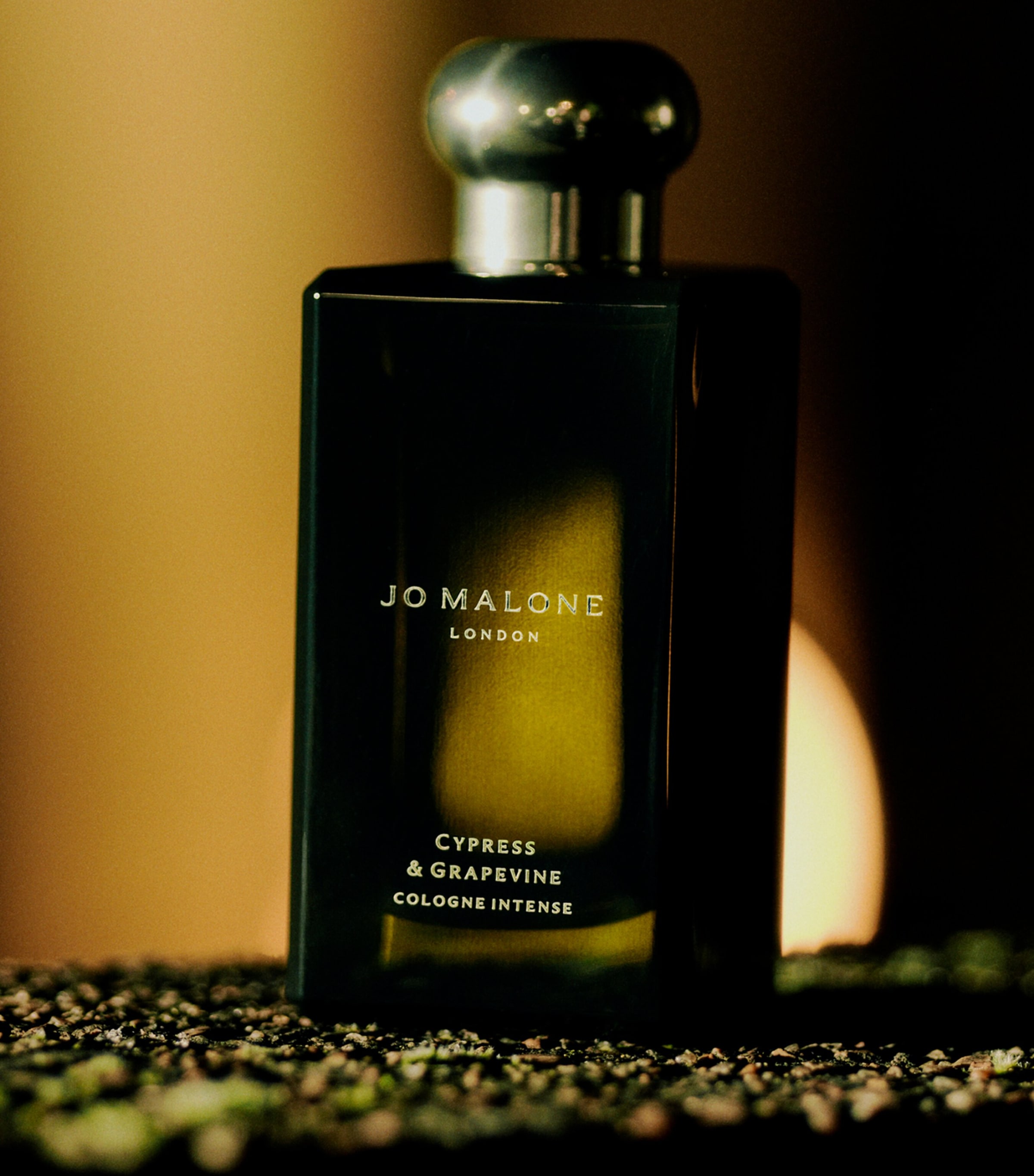 Cypress & Grapevine Cologne Intense