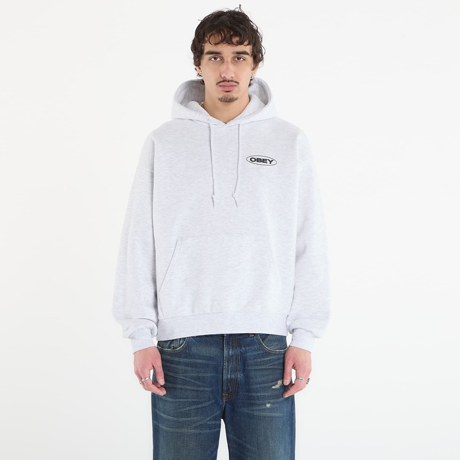 Sweatshirt OBEY Oval Cities Hood Ash Grey