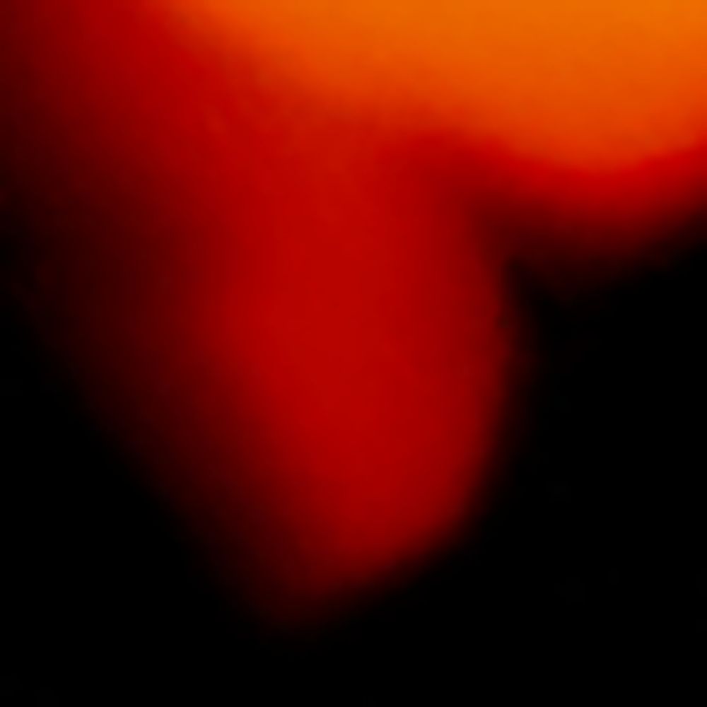 Tortoiseshell Kerman Sunglasses