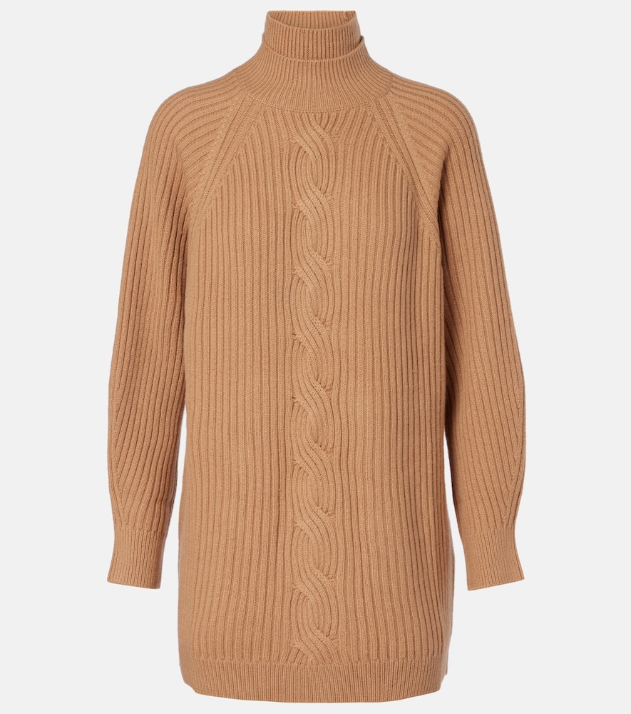 Alcazar wool and cashmere turtleneck sweater