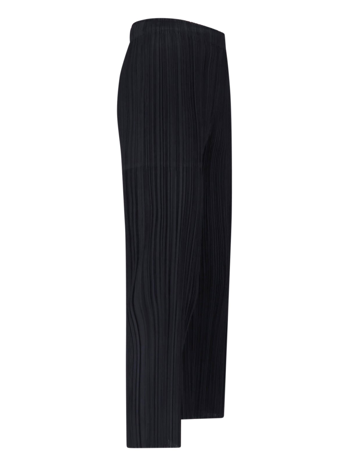 Pleated Pants
