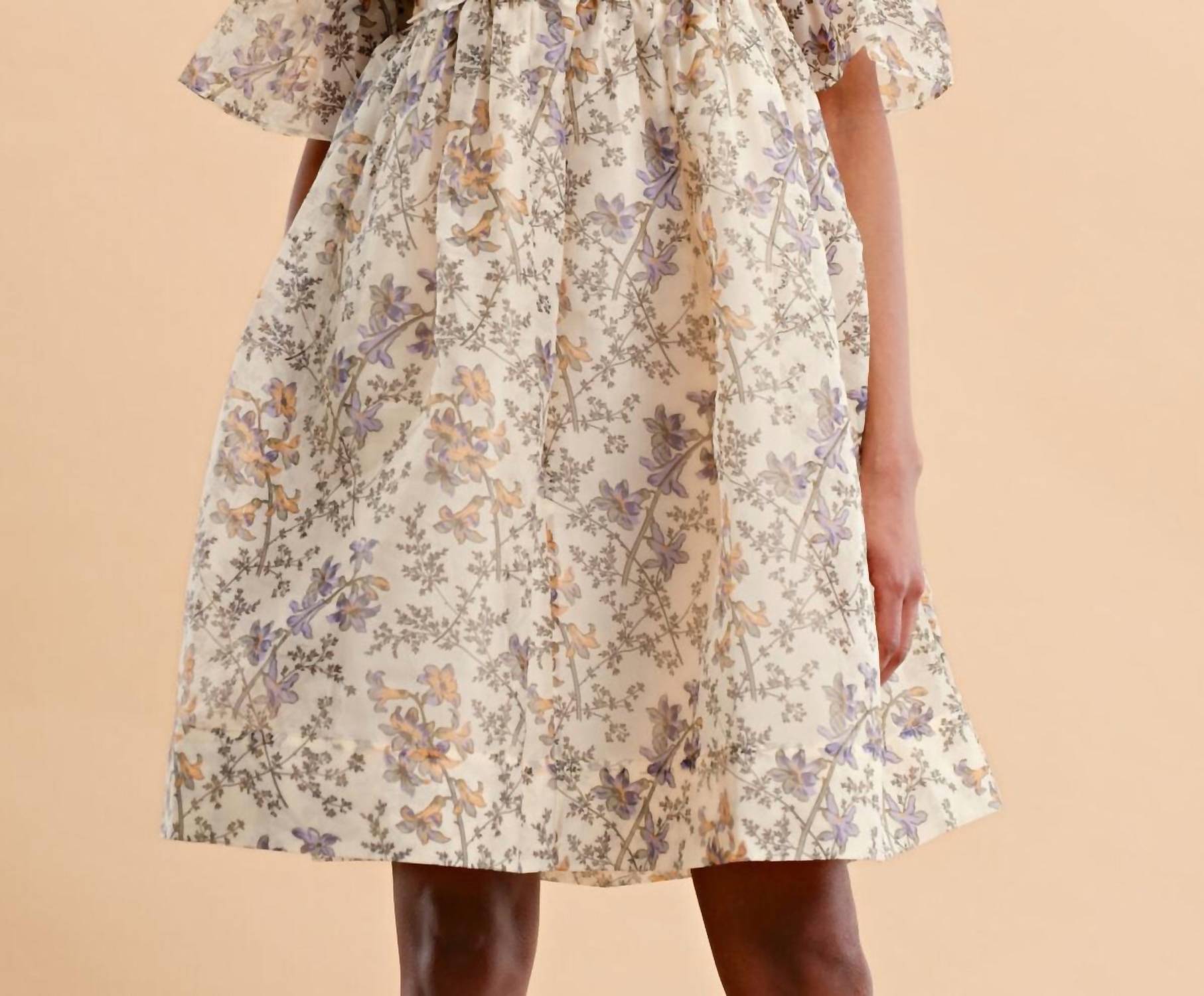 Women's Organza Mini Lace Dress In Beige