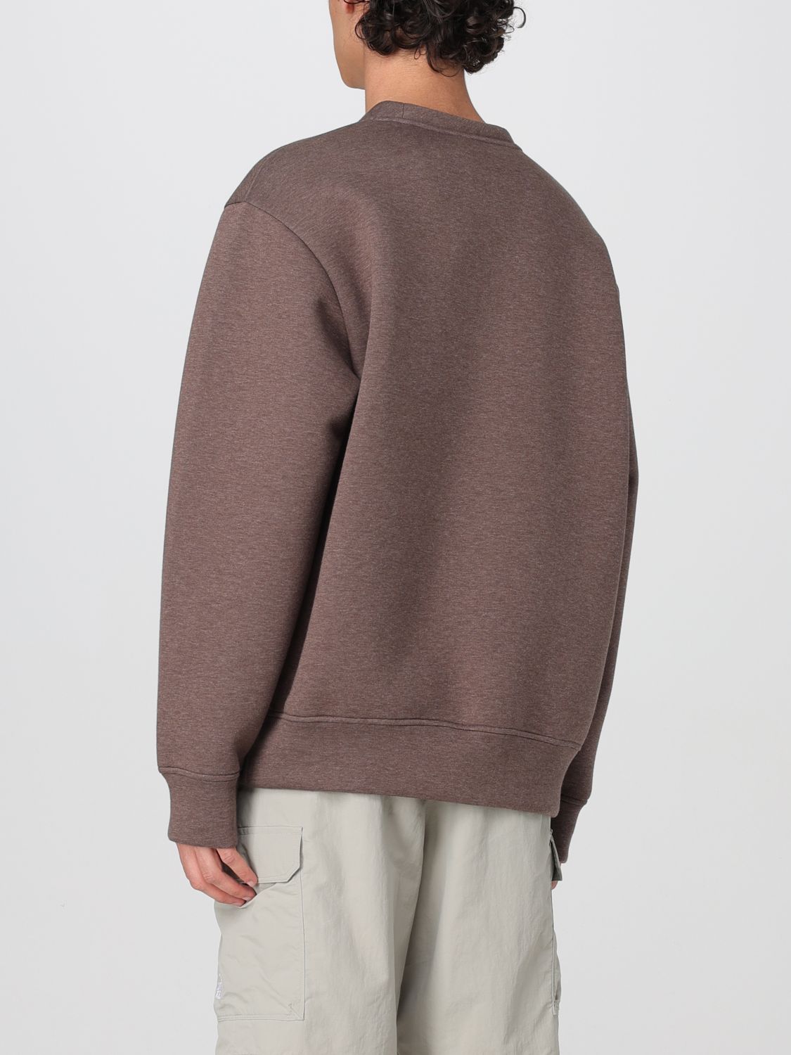 Sweatshirt THE NORTH FACE Men color Brown