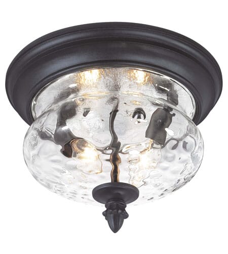Ardmore 2-Light 9" Outdoor Ceiling Light in Black