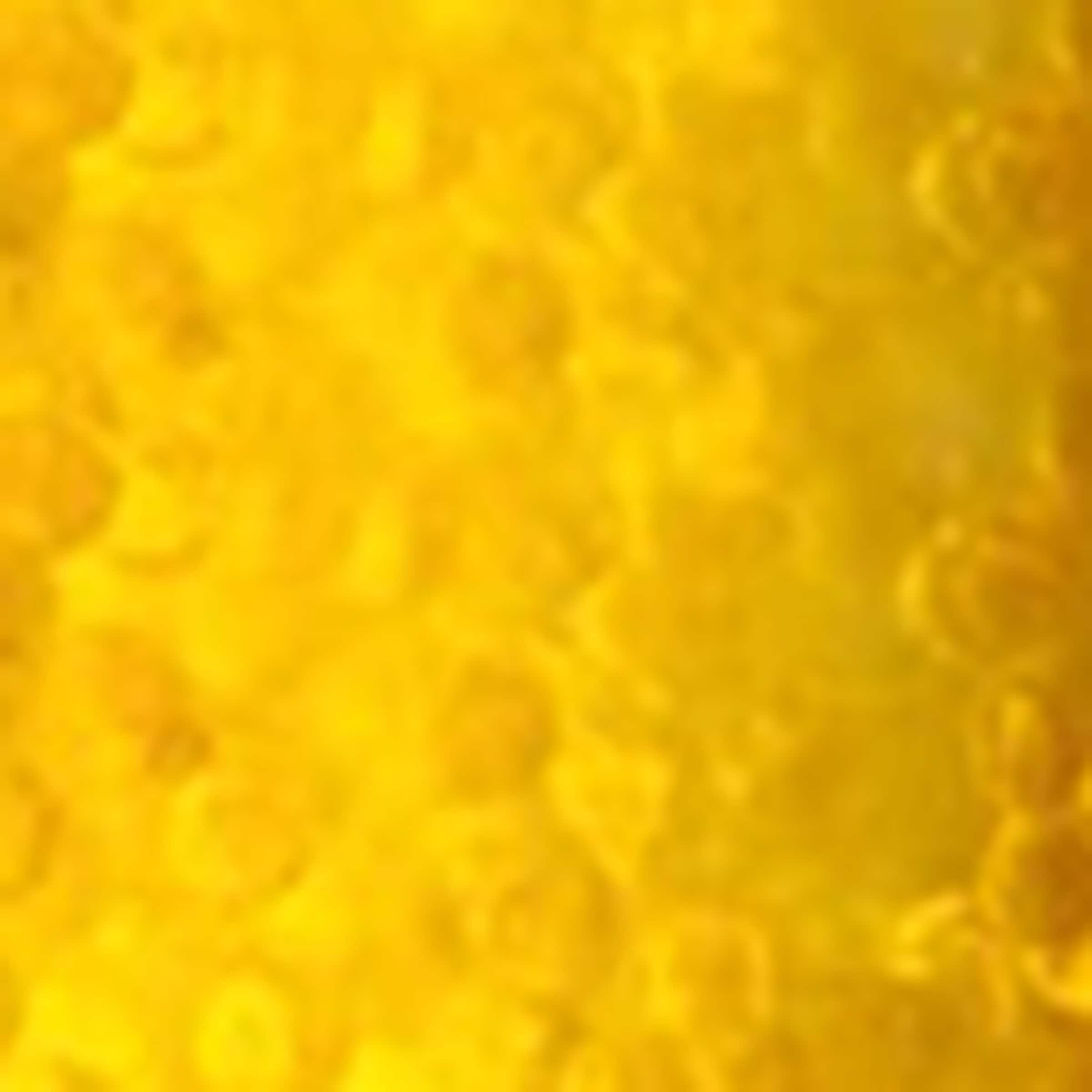 Honey Infused Hair Repair Serum