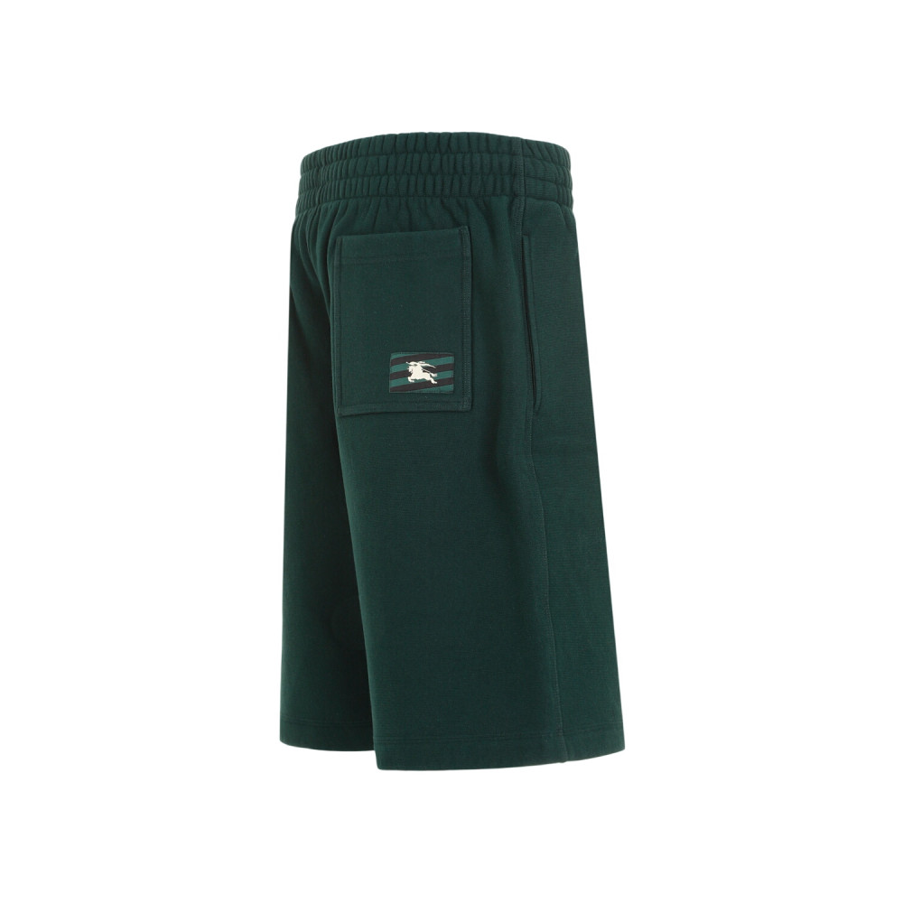 Green Relaxed Solid Shorts
