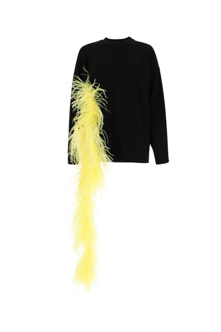 Blanche Sweater With Feather Embellishment