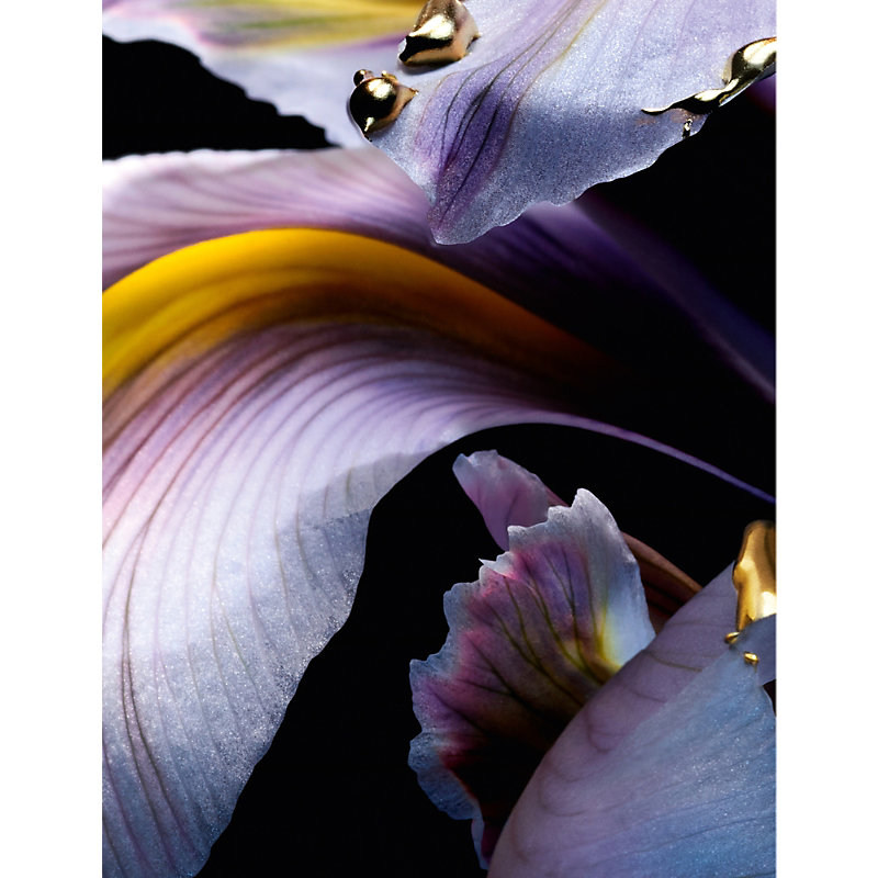 Iris Pallida Extrait 6 Parfum Extract 50ml