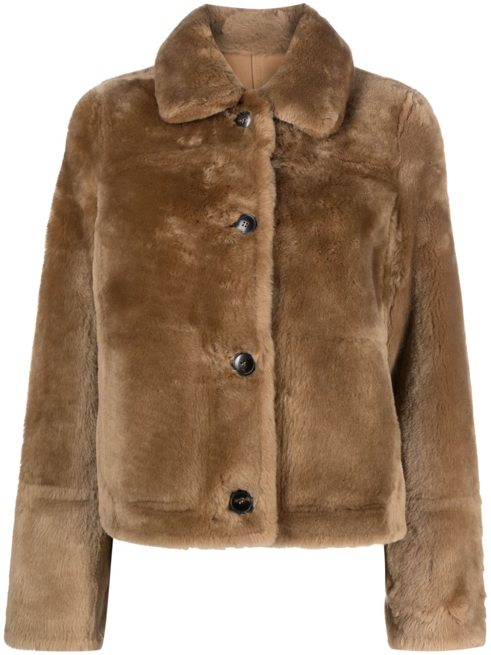 Reversible button-fastening jacket - Neutrals