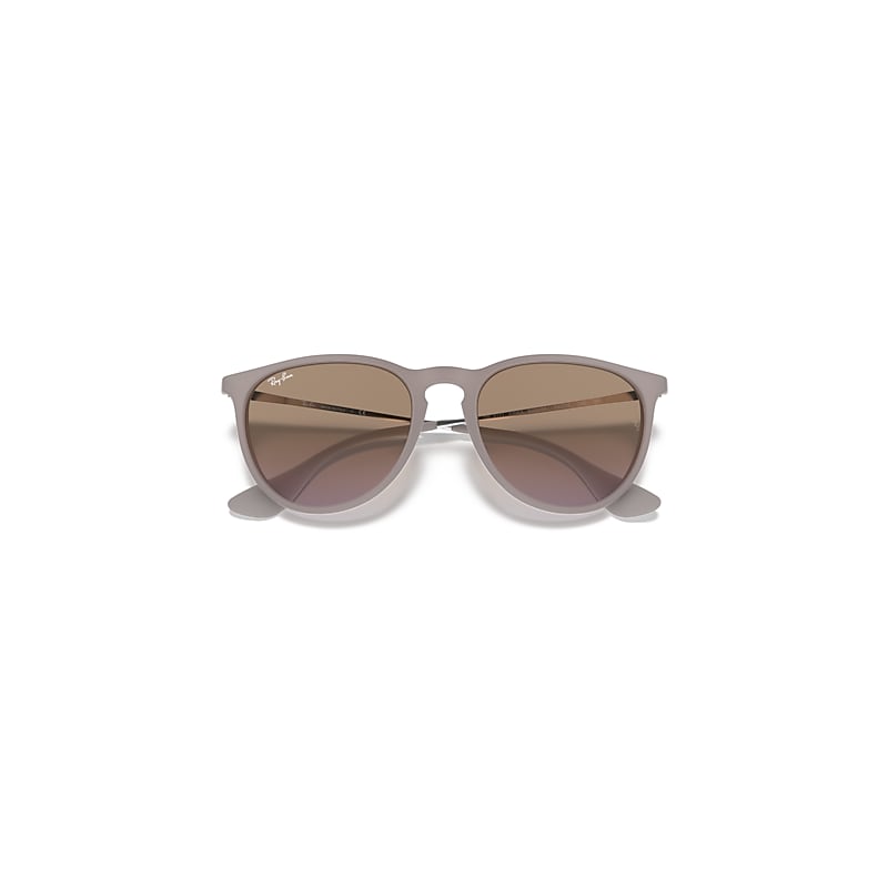 Ray-Ban Erika Classic Sunglasses Dark Sand Frame Brown Lense