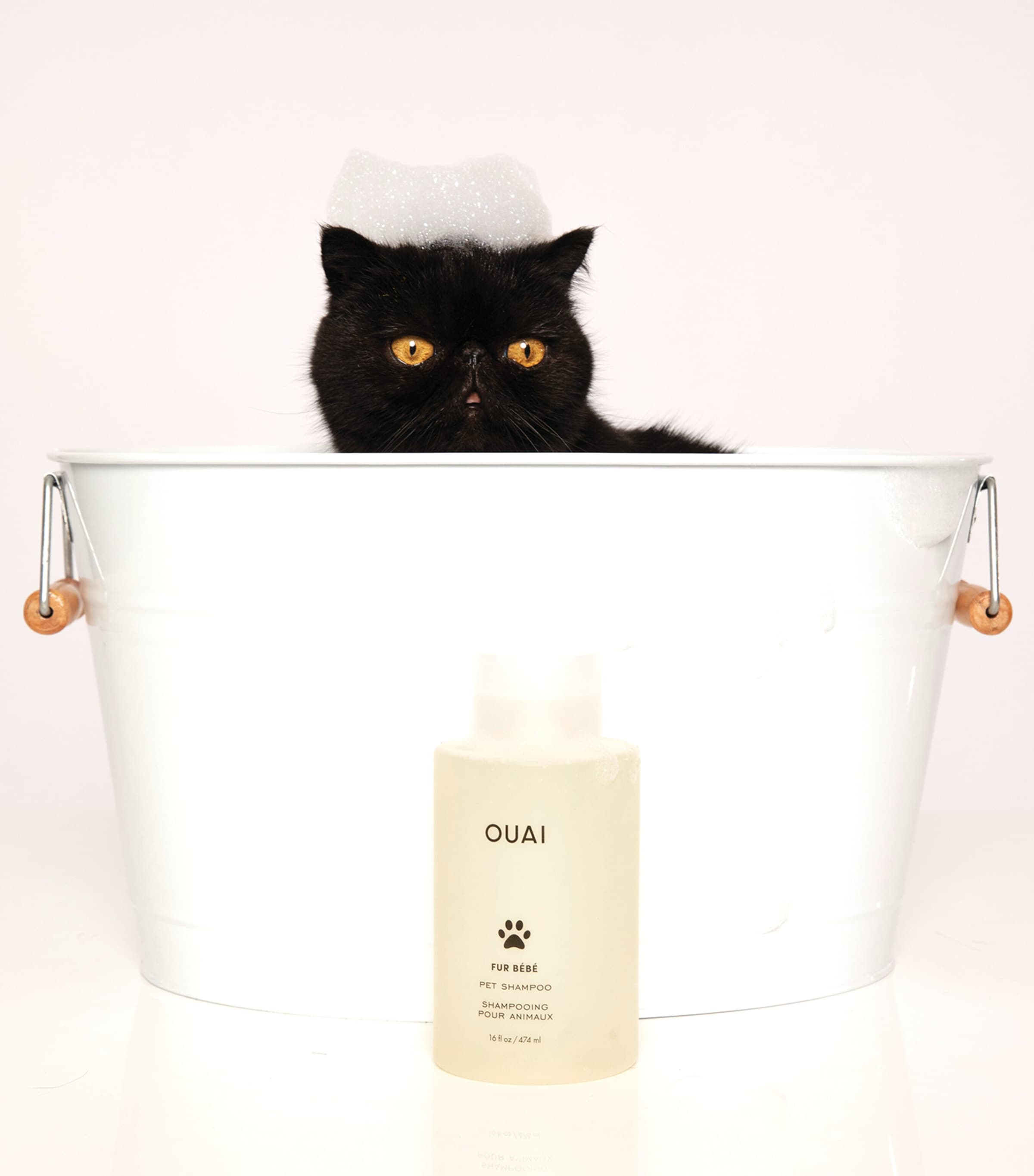 Fur Bébé Pet Shampoo