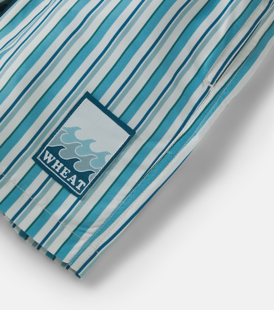 Hansi striped swim tunks