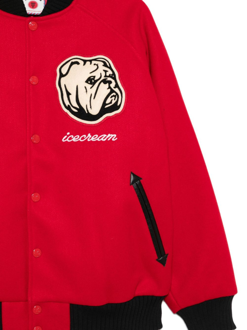 Embroidered Bomber Jacket