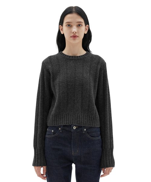 22fw W crewneck sweater