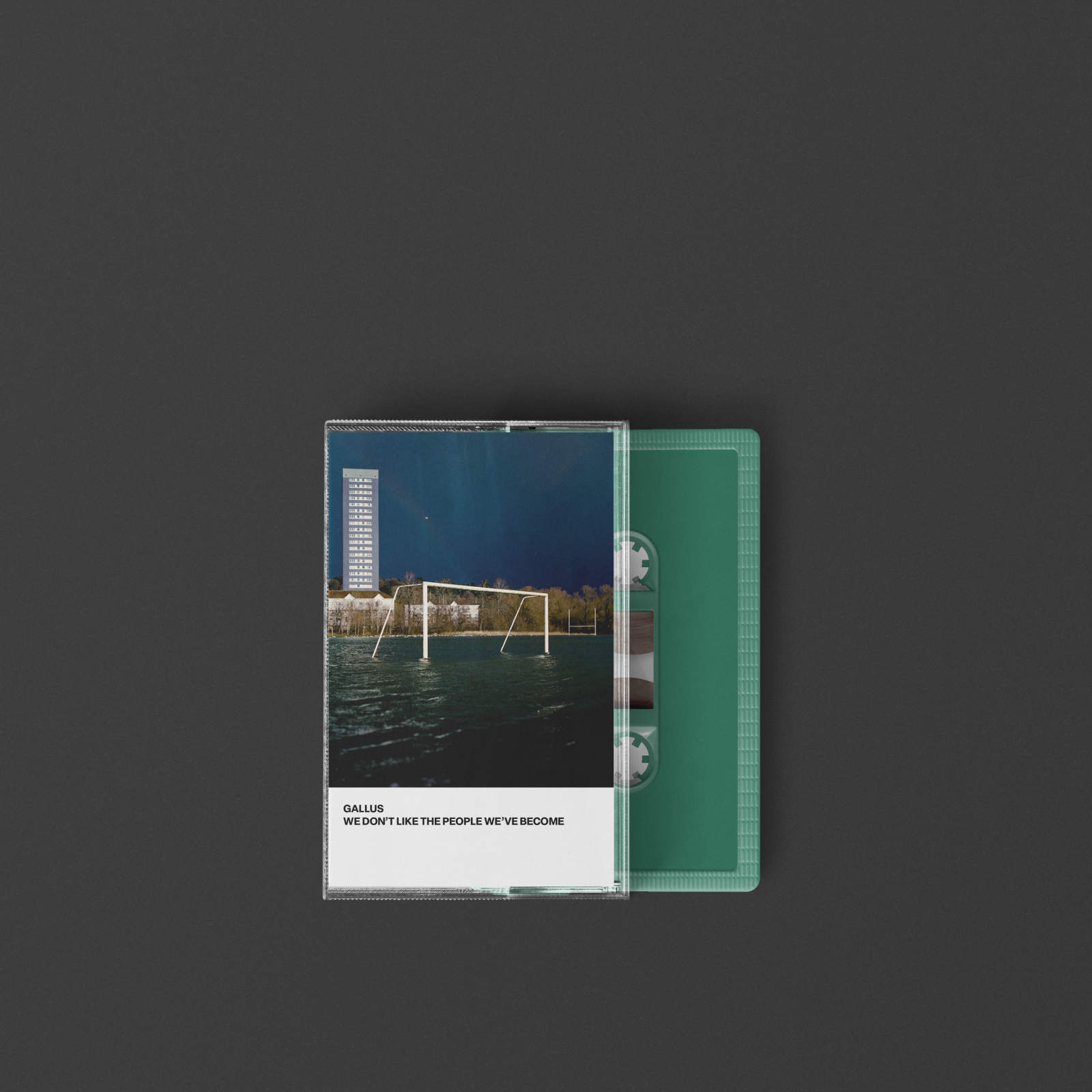 We Don’t Like the People We’ve’ Become, an Indie Rock Album by Gallu